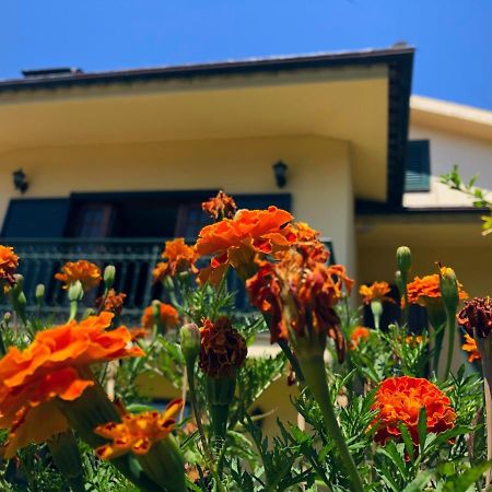 Casa Sao Simao Villa Barcelos Luaran gambar