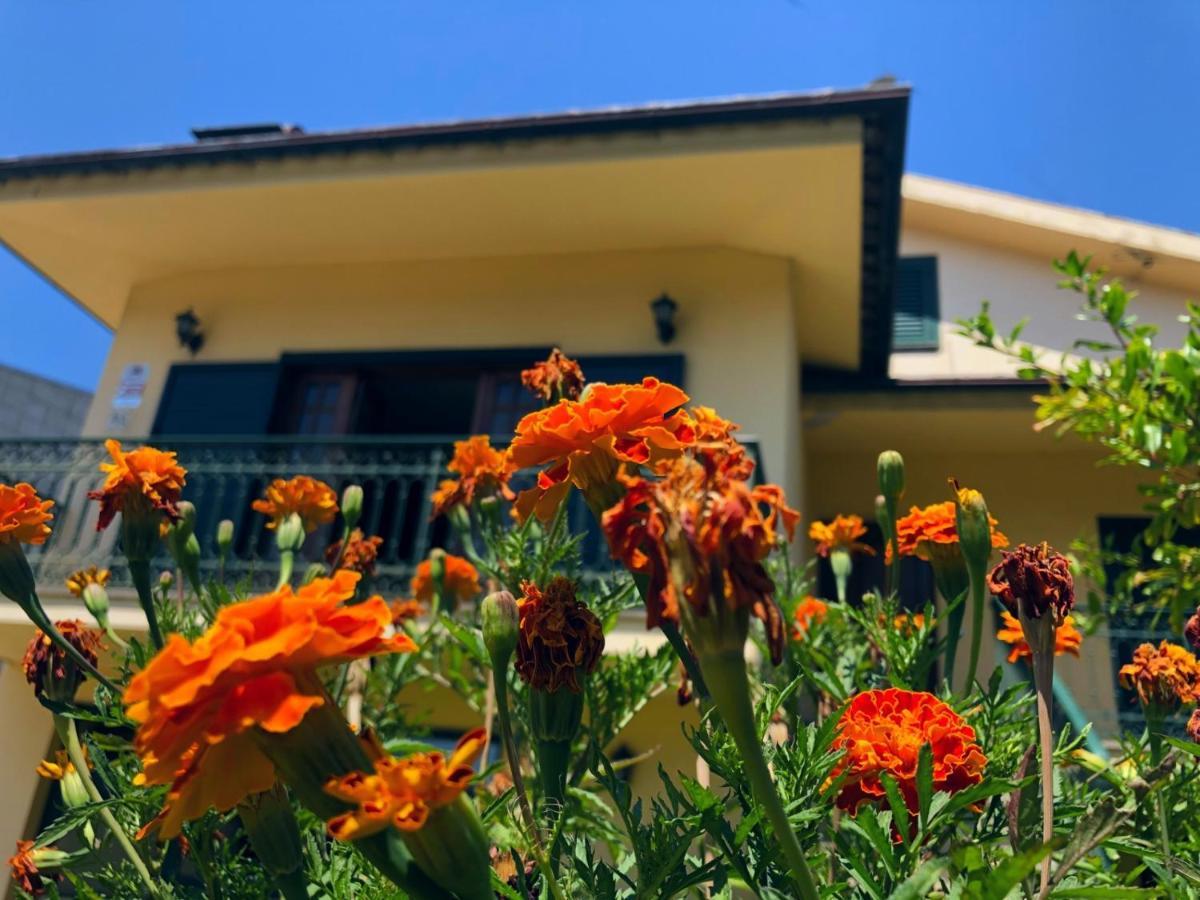 Casa Sao Simao Villa Barcelos Luaran gambar